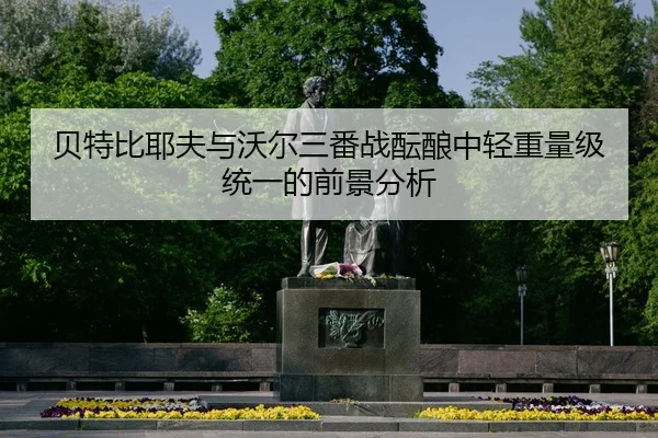 bei-te-bi-ye-fu-yu-wo-er-san-fan-zhan-yun-niang-zhong-qing-zhong-liang-ji-tong-yi-de-qian-jing-fen-xi-1-944.jpg