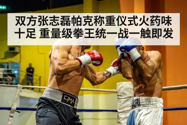 heavyweight boxing match
