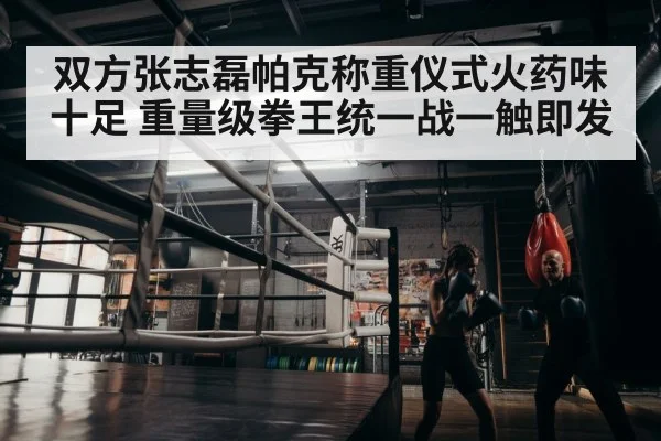 boxer training